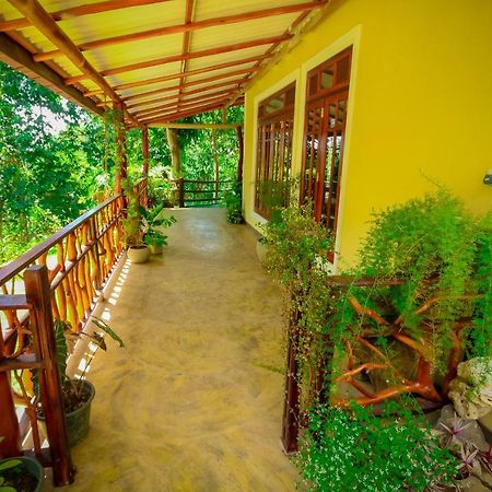Happy Horizon Home Stay Procida Dış mekan fotoğraf