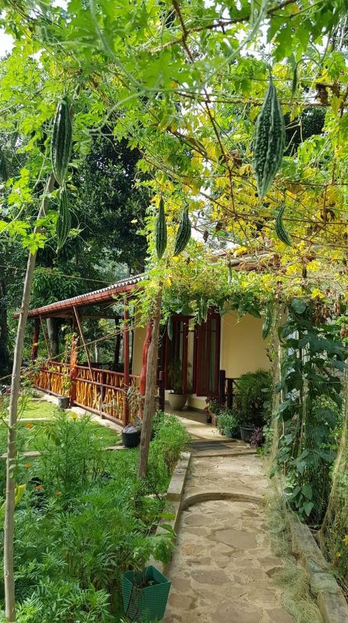 Happy Horizon Home Stay Procida Dış mekan fotoğraf