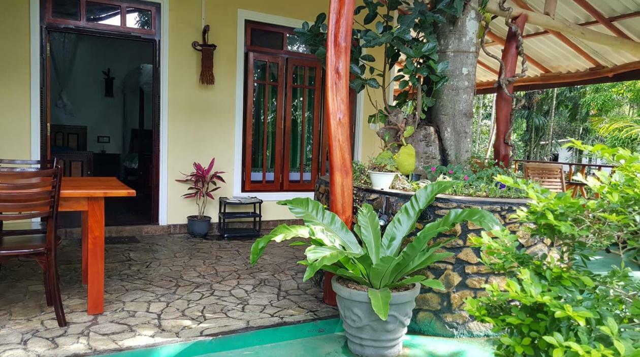 Happy Horizon Home Stay Procida Dış mekan fotoğraf
