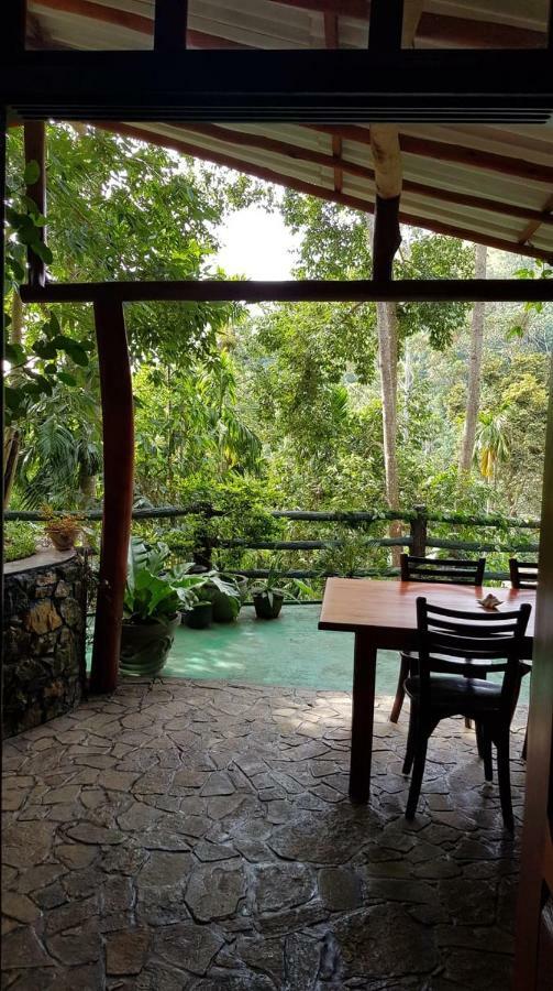Happy Horizon Home Stay Procida Dış mekan fotoğraf